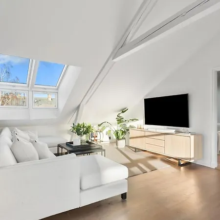 Large Penthouse With Roof Terrace Appartement
